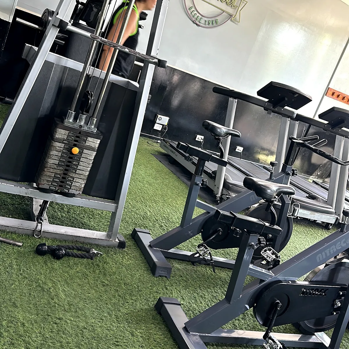 La sala de musculación: Old School, Parque Chacabuco